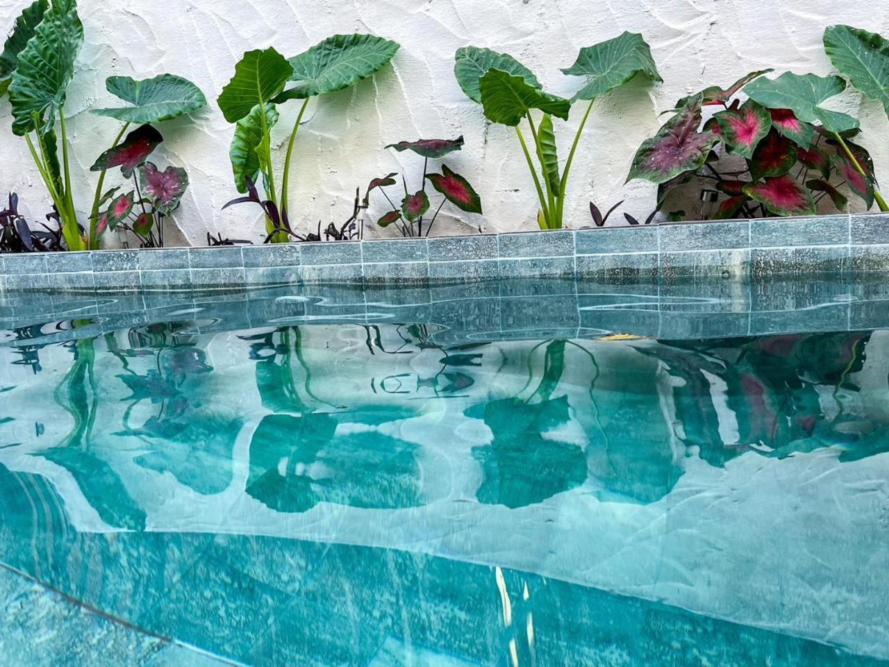 Dumangue Kite House Hotel Guriu ภายนอก รูปภาพ